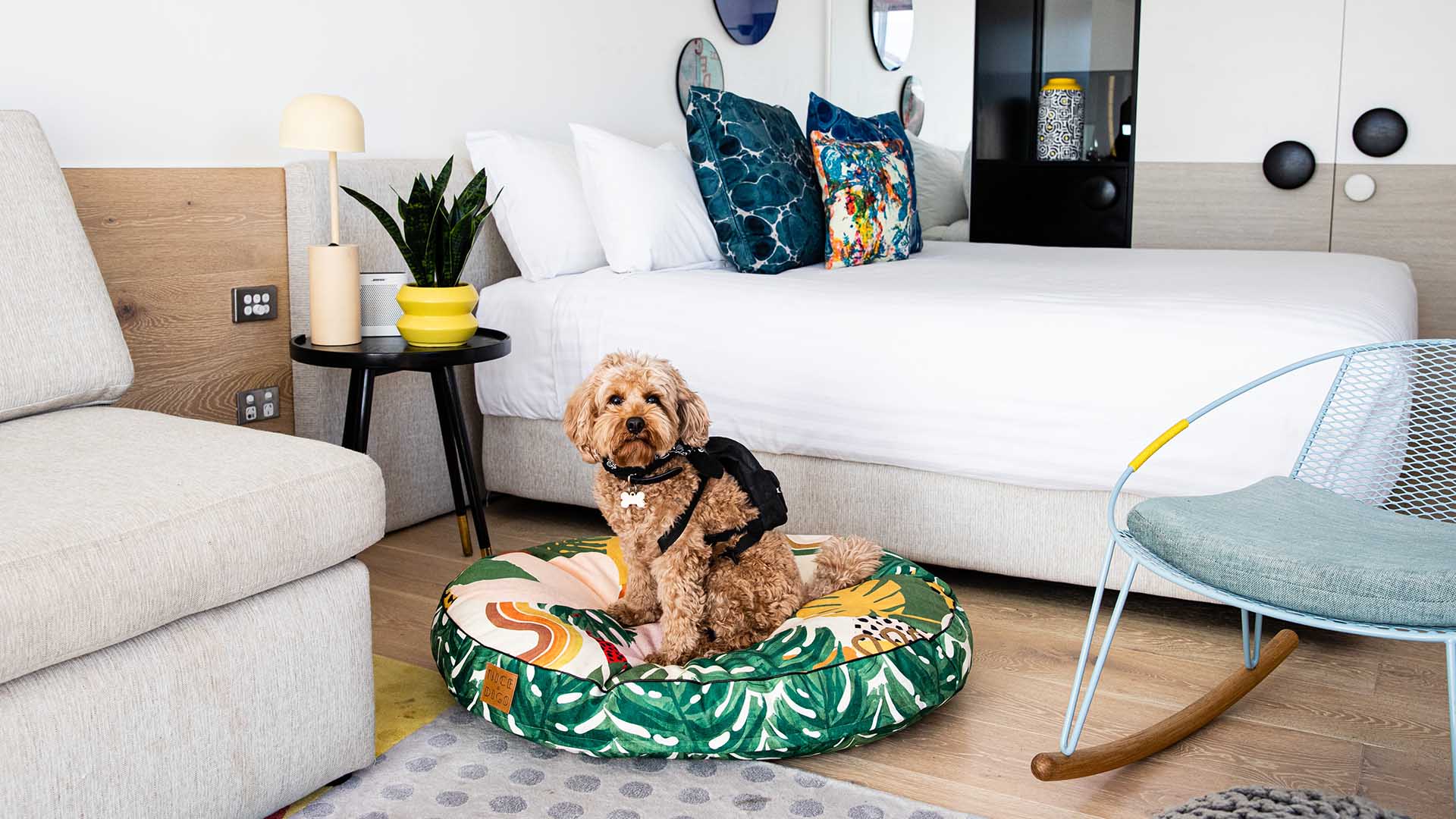 Pet Friendly — These properties love your pet just as much as you.