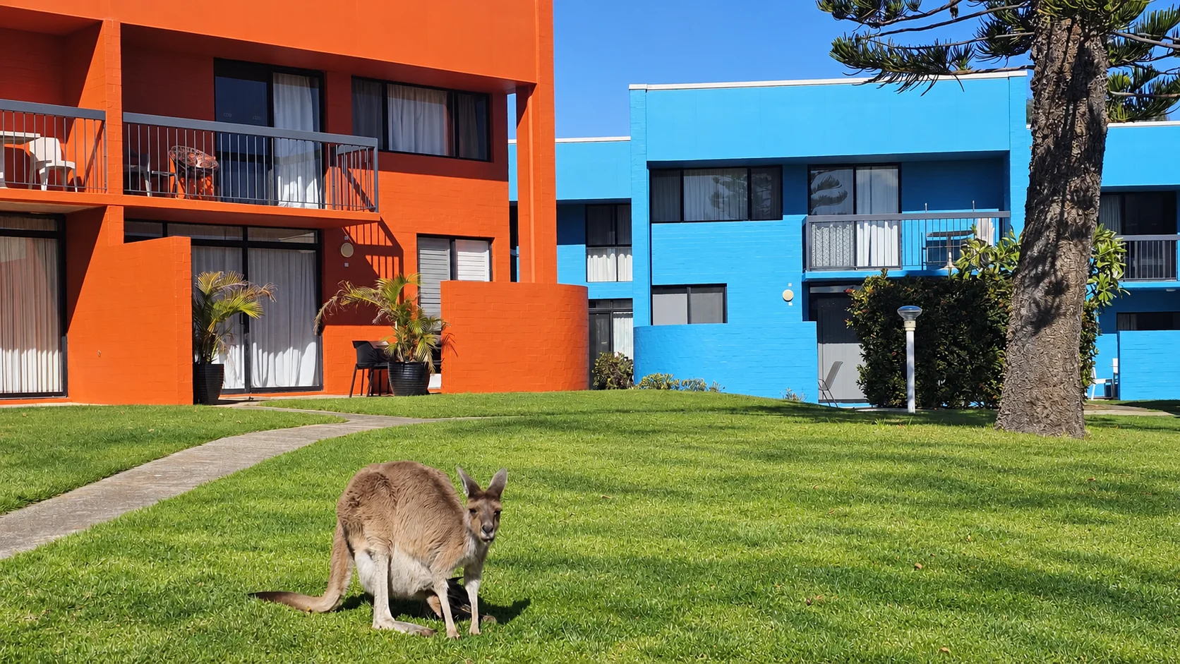 Riverview Holiday Resort — Kalbarri's Original & Best. Right on the water, 25m pool, tennis courts, BBQs & Basketball